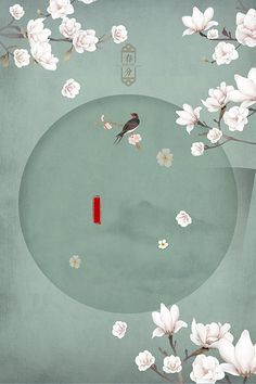 芒果视频黄